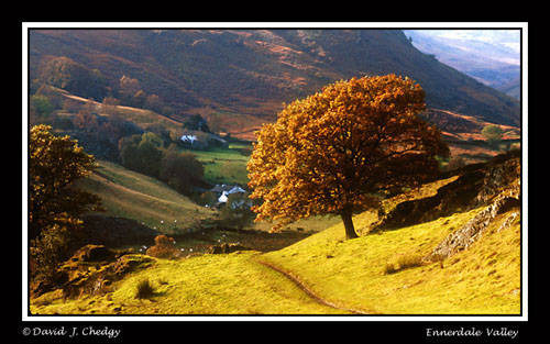 Ennerdale